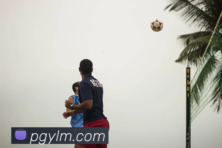 pg模拟器平台生态图